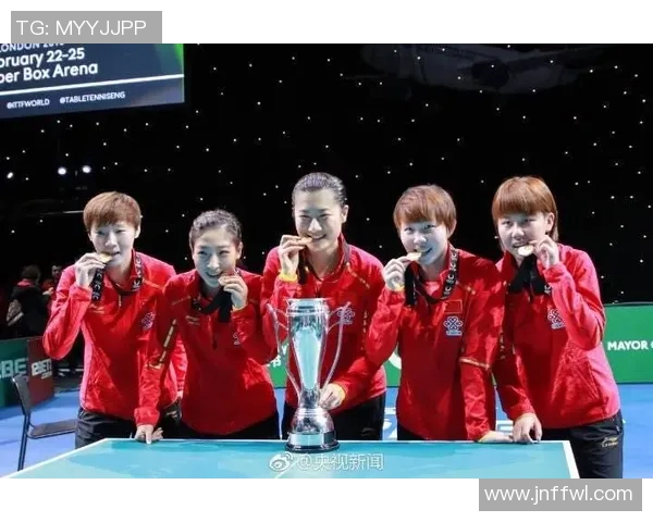 成都排球队团队协作深度解析与其他球队的对比研究